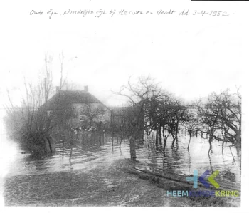 Aerdt De Papenakker Hoogwater 1952 Collectie T Hendriksen