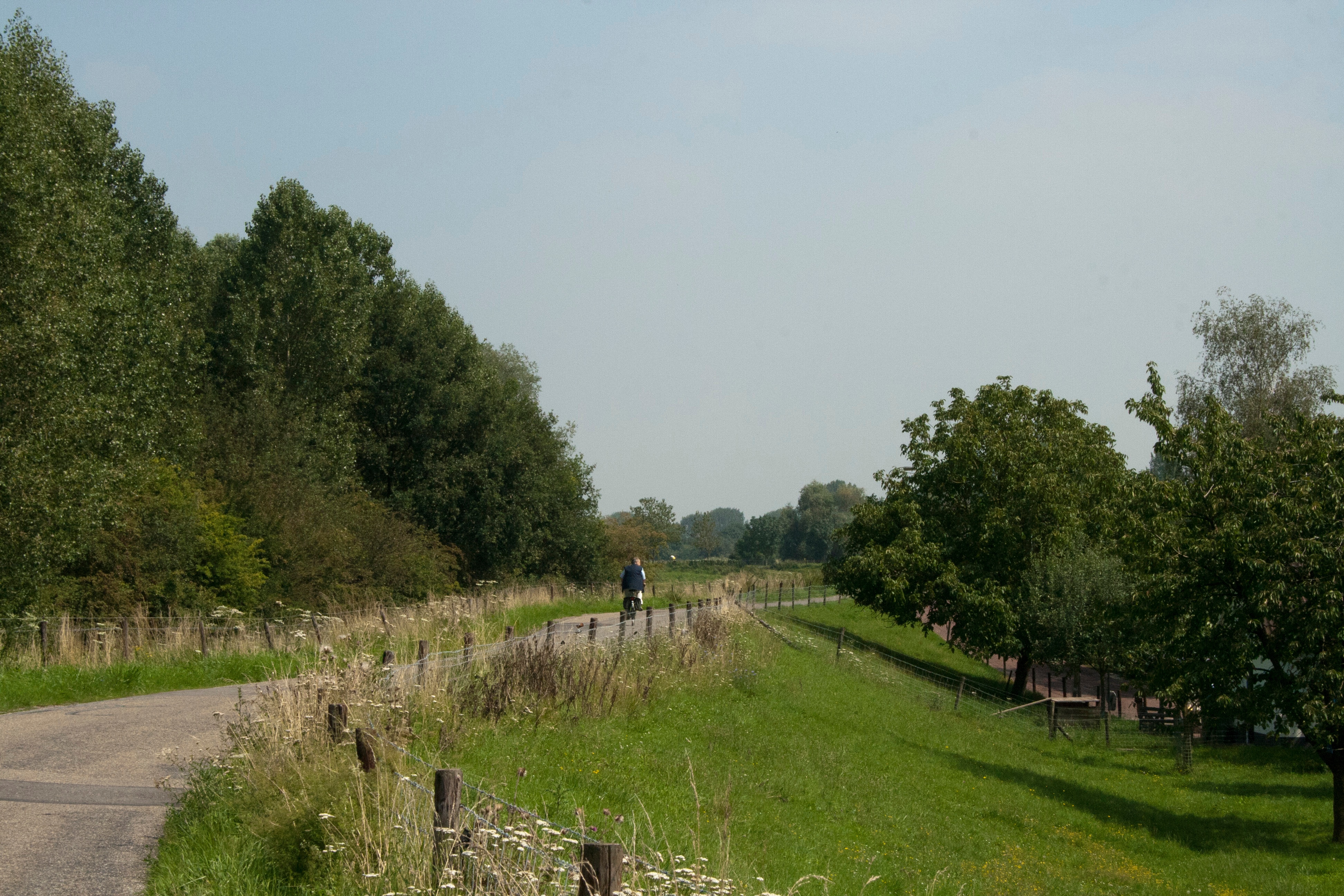 01 08 2011 Aerdtsedijk Deukerdijk 7