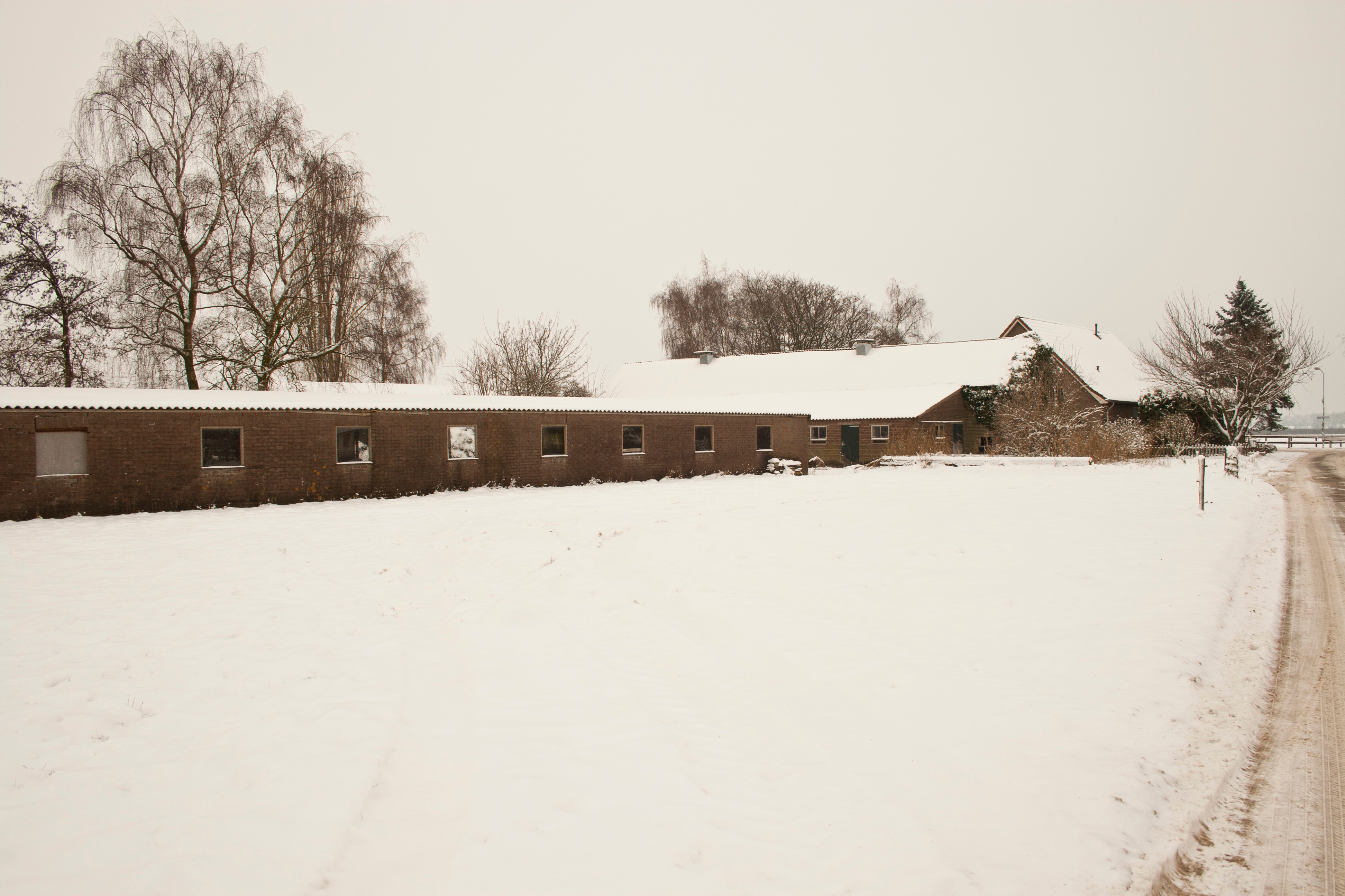 23 12 2010 Aerdt