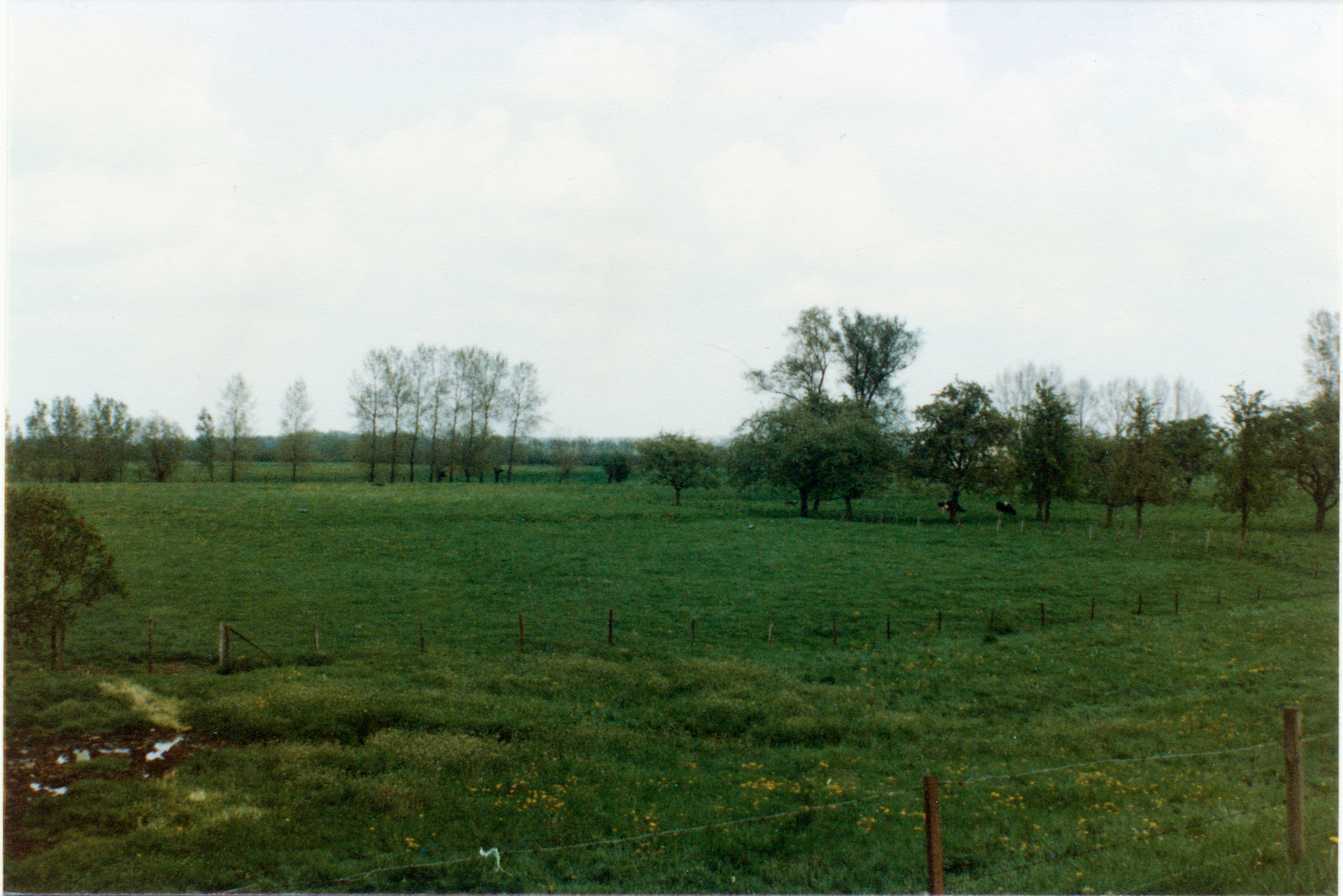 Aerdt 1977 Collectie HKR 39