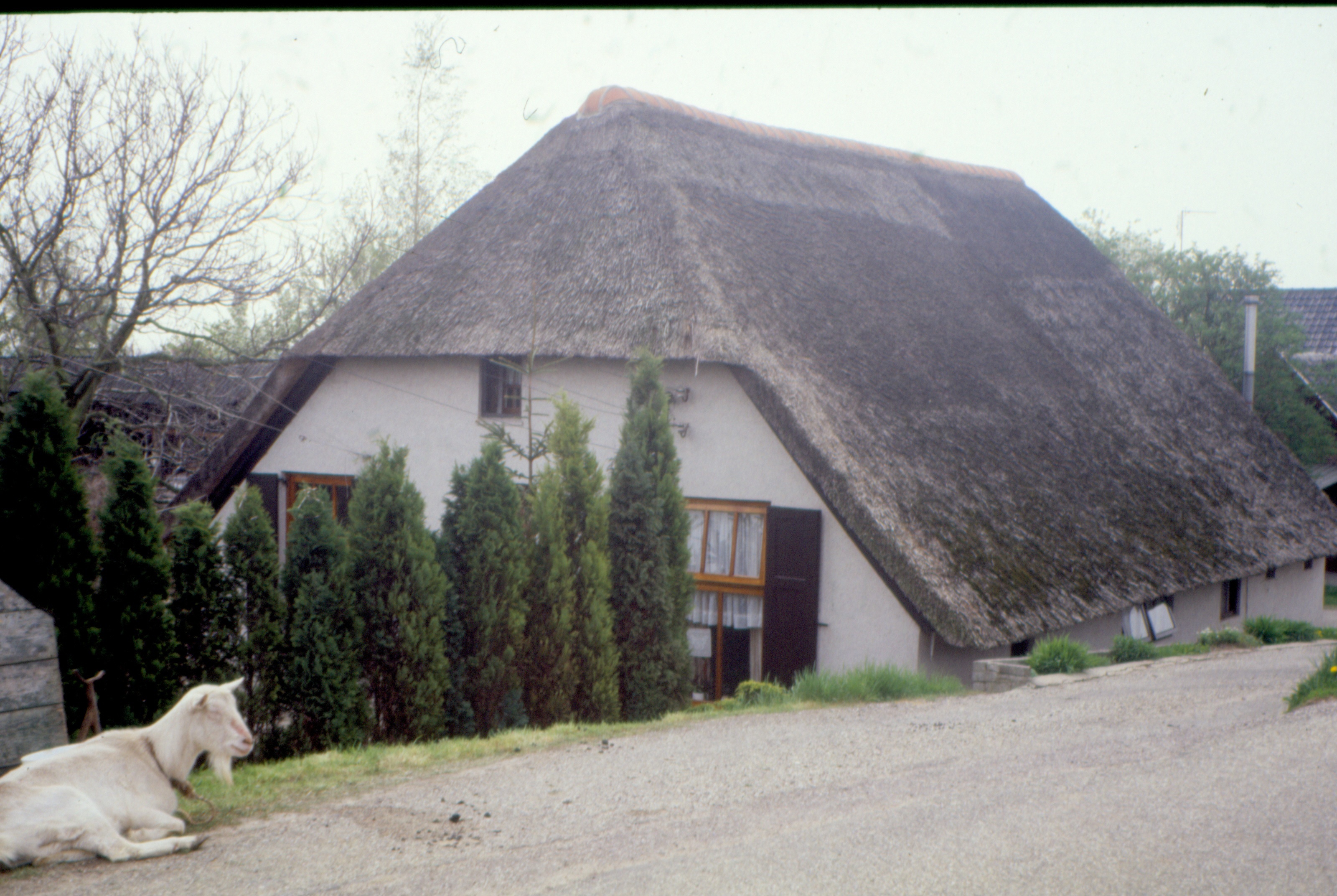 Aerdt Aerdtsedijk De Hex De Vries Collectie HKR