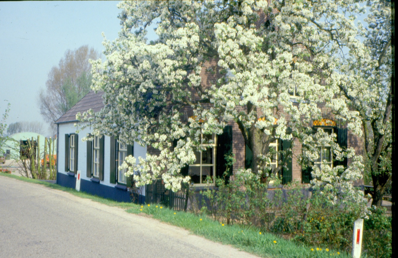 Aerdt Aerdtsedijk Temminck Collectie HKR 2