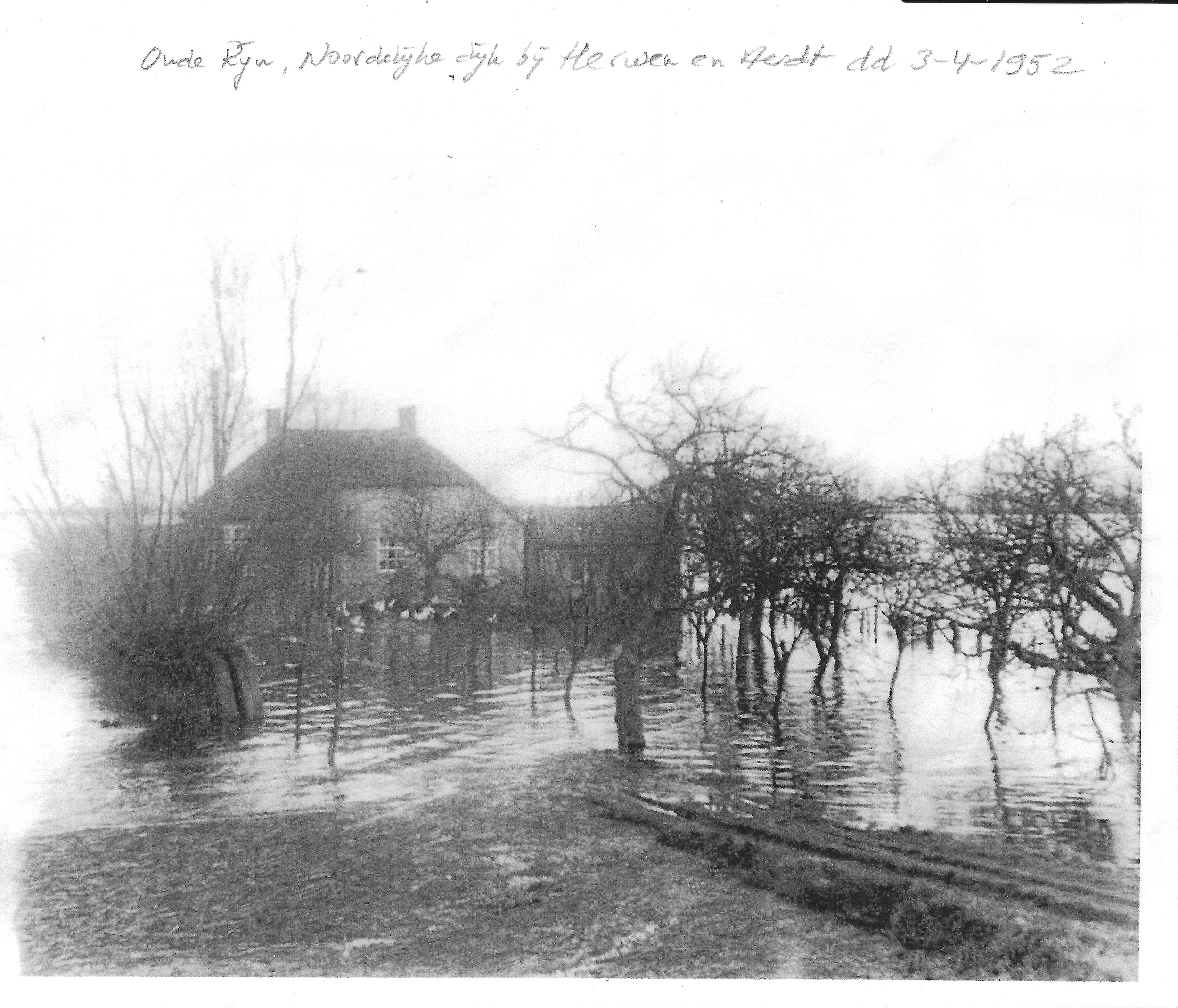 Aerdt De Papenakker Hoogwater 1952 Collectie T Hendriksen