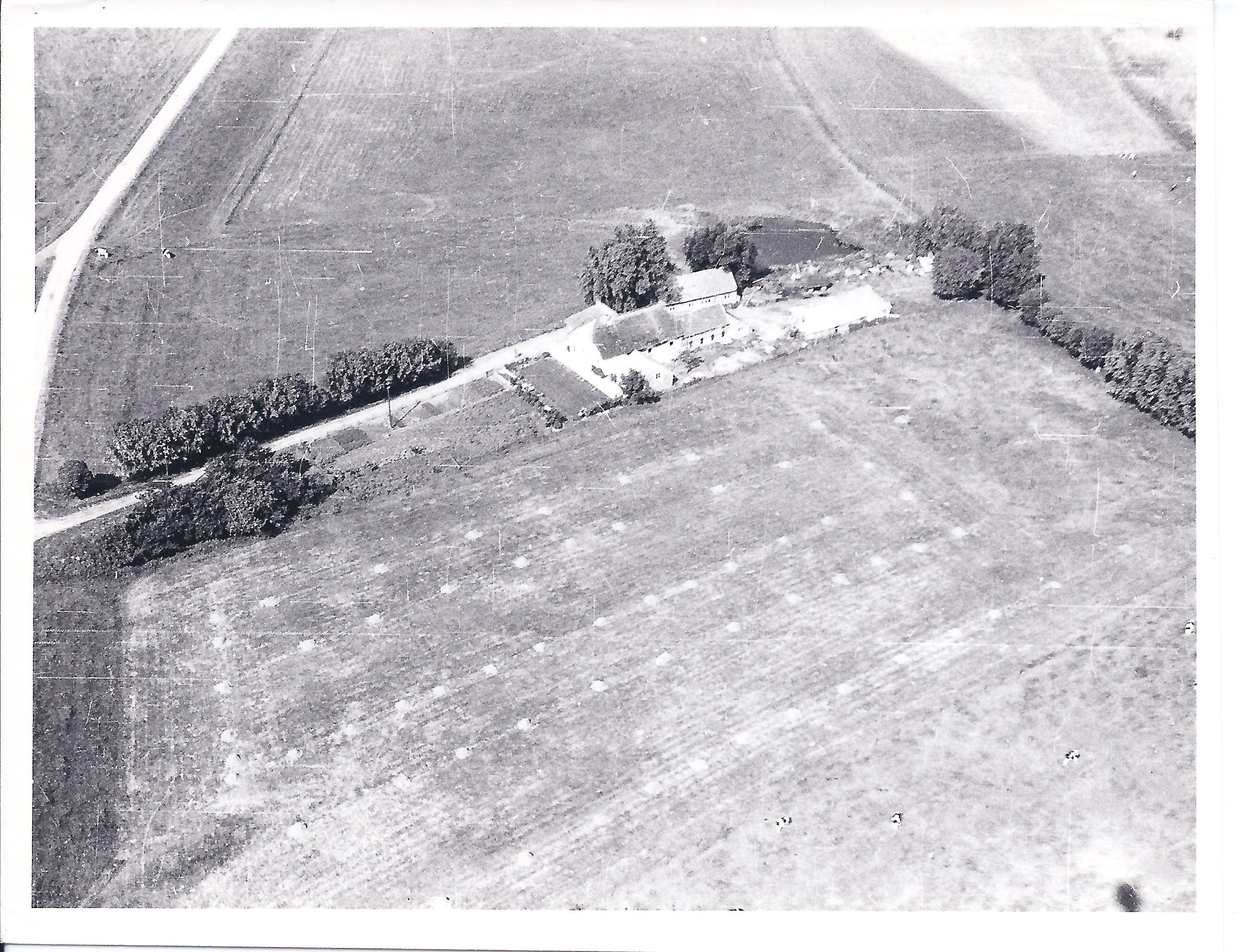 Aerdt Luchtfoto Akkers En Bomenrij Collectie T Henderiksen