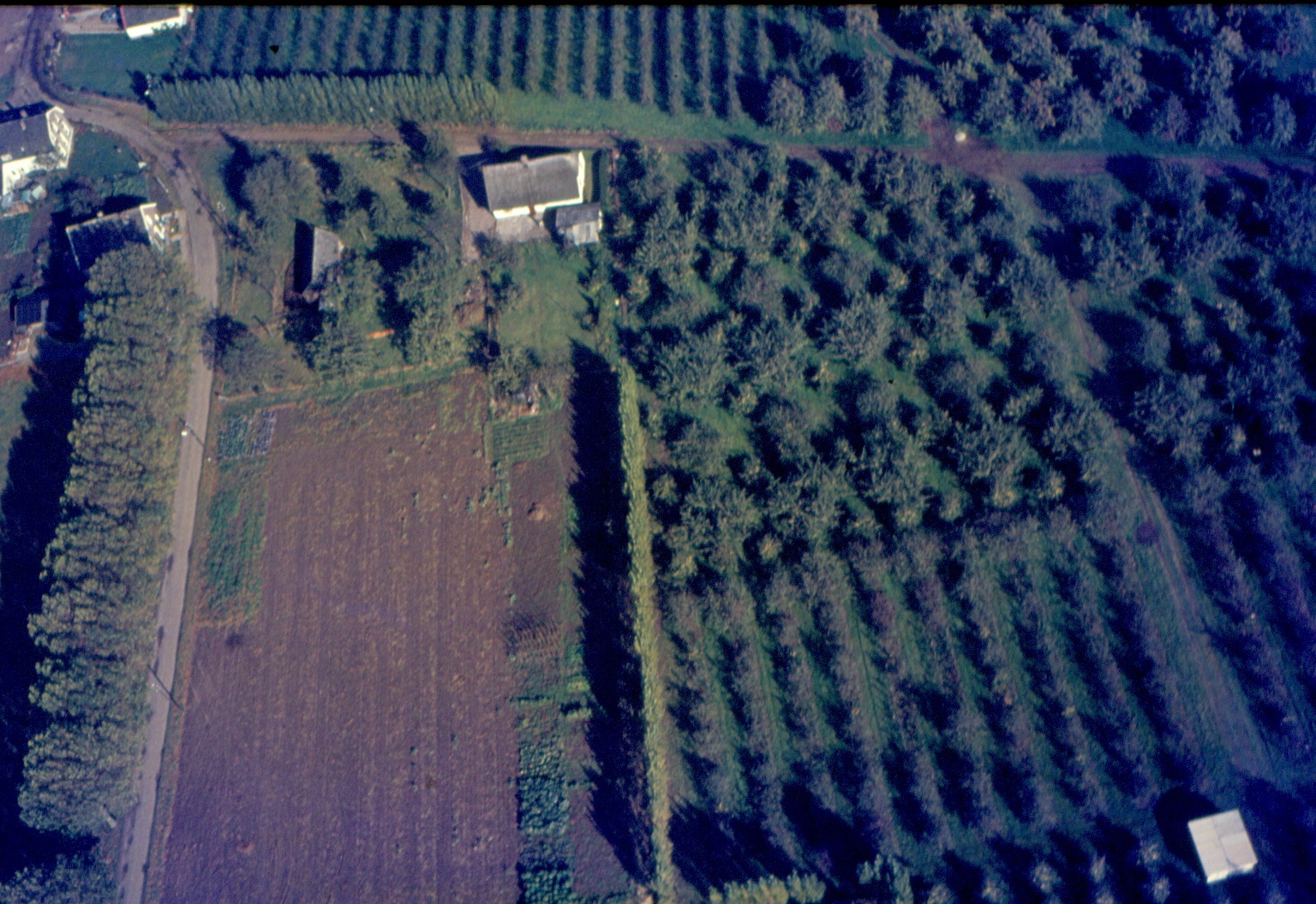 Aerdt Luchtfoto Boomgaard Collectie GB Janssen