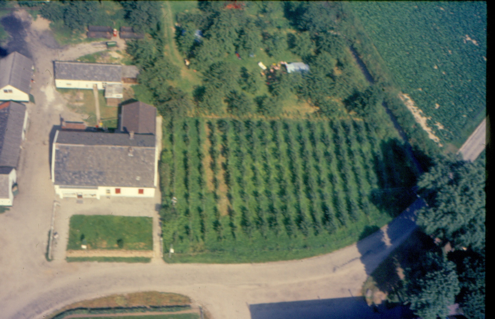 Aerdt Luchtfoto Camping Aerdtse Wacht Terrein Collectie GB Janssen