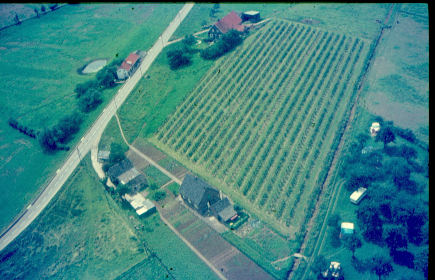 Aerdt Luchtfoto Herwensedijk Collectie GB Janssen