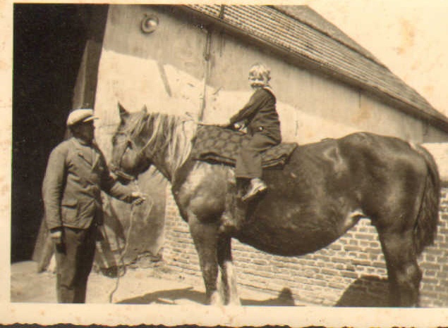Boerderij De Spijkerhof Aerdt Knecht Hent Terhaardt Collectie Rene Pelgum