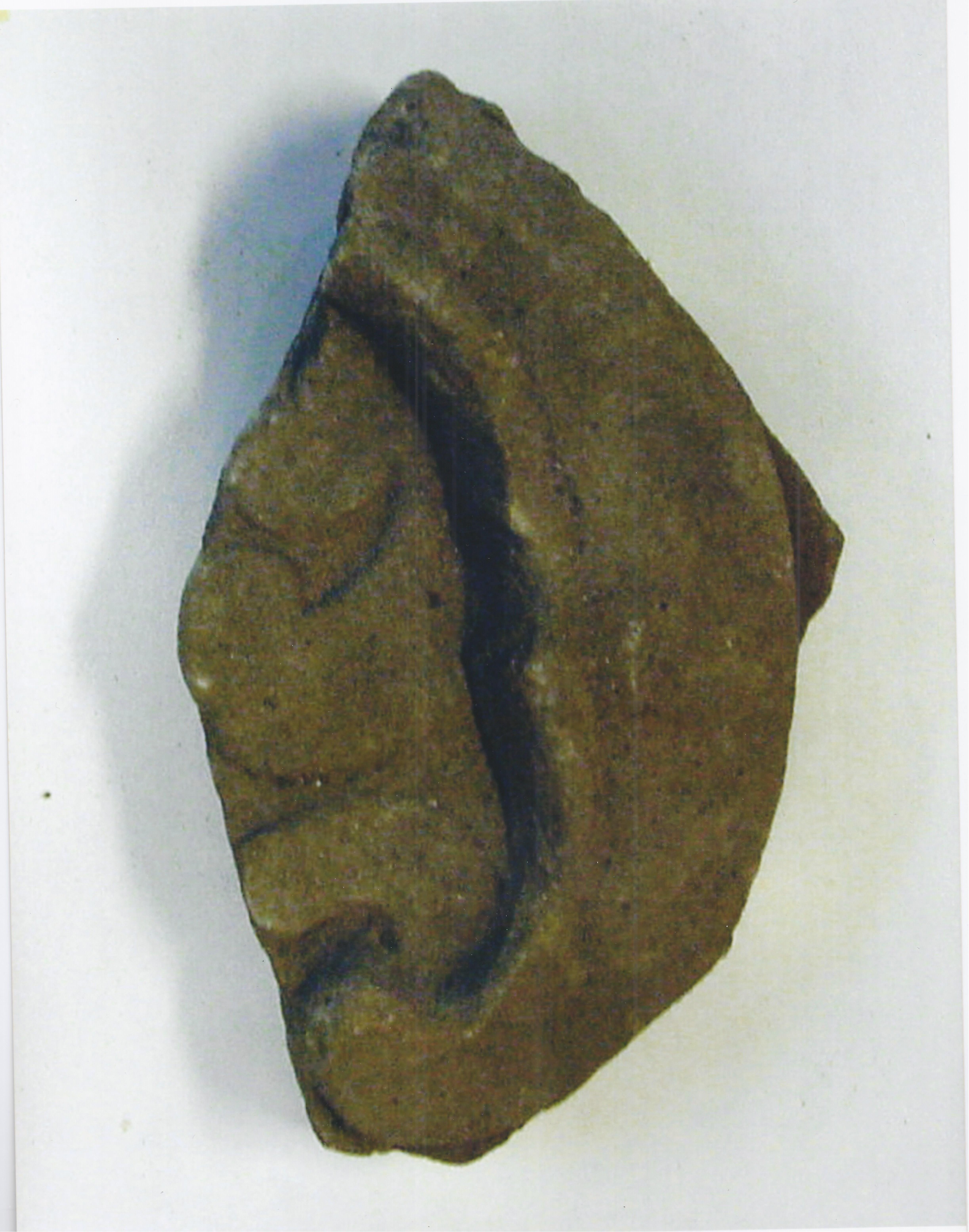 T Spijker Of Horst 5